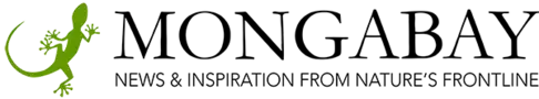 Publication logo